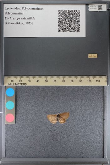 Media type: image;   Entomology 193256